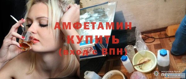 индика Горнозаводск