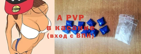 индика Горнозаводск