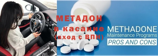 индика Горнозаводск