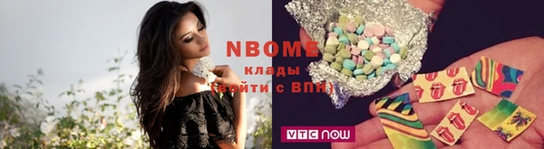 индика Горнозаводск