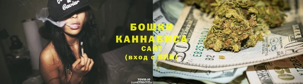 индика Горнозаводск