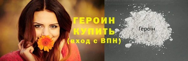 индика Горнозаводск