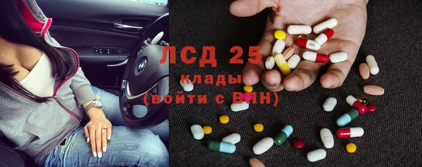 индика Горнозаводск