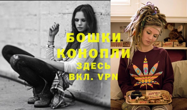 индика Горнозаводск