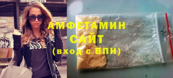 индика Горнозаводск