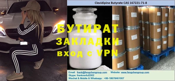 индика Горнозаводск