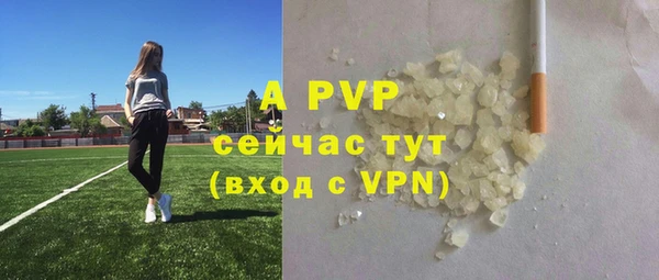индика Горнозаводск