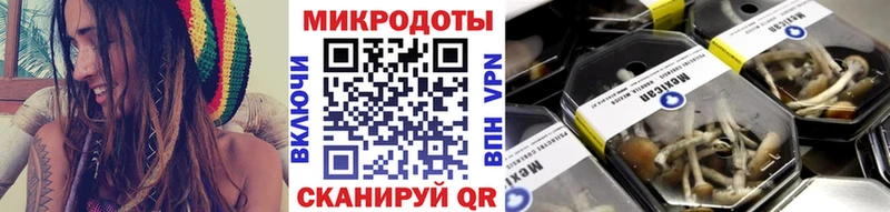 Псилоцибиновые грибы Psilocybine cubensis  Купить закладки  Кувшиново 